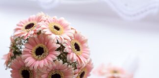 Ile kosztują chrzciny w restauracji 2023?