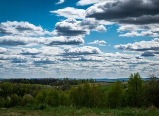 Gdzie pojechać na jeden dzień Podkarpacie?